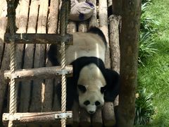 -大连森林动物园