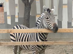 -水上乐园·欢乐世界