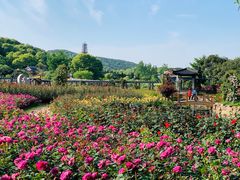 -龙寺生态园