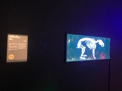 -现代汽车文化中心 Hyundai Motorstudio Beijing