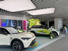 -上海浦东smart汽车全功能店(金桥店)