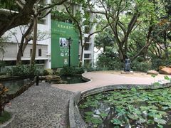 -香港大学