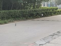 -长安大学(北校区)