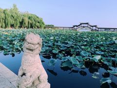 -锦溪古镇