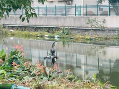 -宁波儿童公园(鄞州区)