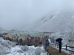 -黄龙山原始森林景区
