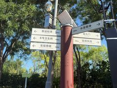 -大兴滨河森林公园