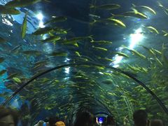 -福州罗源湾海洋世界旅游区