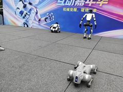 -坂田天虹