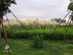 -琅岐红光湖公园