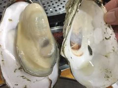 -蚝专家(北滘店)