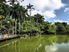 -南宁荔园维景国际大酒店·荔园中餐厅