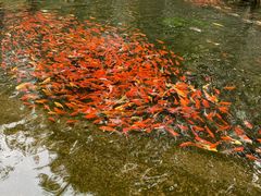 -水磨沟公园