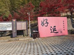 -宁波浙东大竹海景区