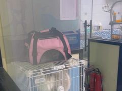 -天宠宠物医院24小时·急重症诊疗中心·全科·腔镜特色(和平分院)
