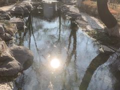 -百脉泉景区