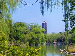 -京城小江南·北京烤鸭·江南土菜·白鱼(中关村店)