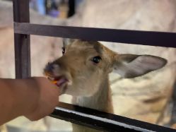 -酷嗒动物文化乐园(cutezoo西溪乐天城店)