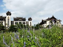 -清远熹乐谷温泉度假酒店