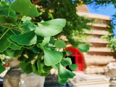 -北京石刻艺术博物馆(五塔寺)