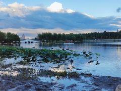 -长春市南湖公园