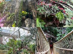 -正佳雨林生态植物园