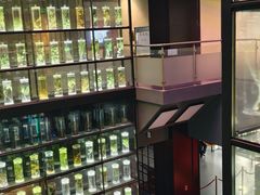 -广东中医药博物馆