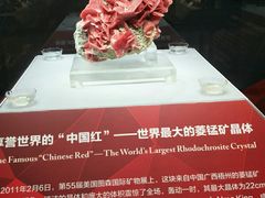 -湖南省地质博物馆