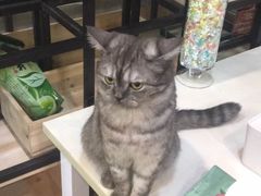 -不止轰趴桌游麻将台球(立水桥店)