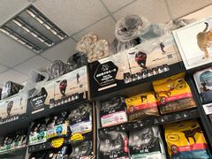 -北京赛佳动物医院