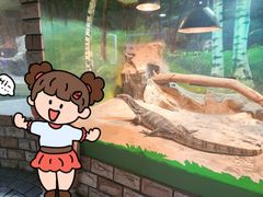 -上海大自然野生昆虫馆