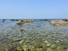 -养马岛旅游度假区