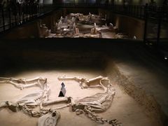 -洛阳周王城天子驾六博物馆