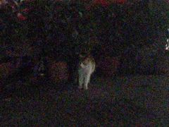 -凯乐会量贩KTV(国防大厦总店)