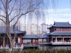 -雁滩公园