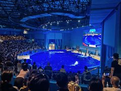 -石家庄极地海洋世界
