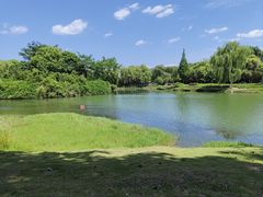 -升仙湖公园