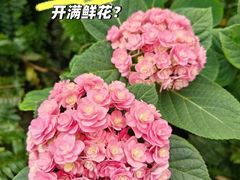 -海底捞火锅(珠影星光城夜宵主题店)