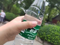 -趵突泉景区