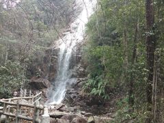 -九龙江国家森林公园