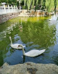 -河南中医药大学第一附属医院-医疗整形