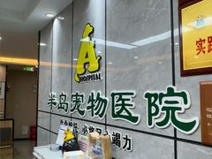 -半岛宠物医院24小时(白果林店)