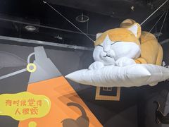 -厦门诚毅自然探索馆