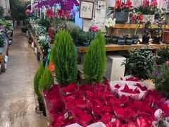 -双季花艺园艺市场(浦东店)
