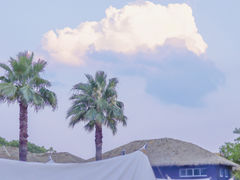 -苏州太湖国家湿地公园
