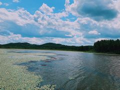 -塞罕坝国家级自然保护区