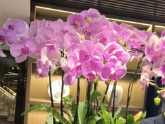 -花锦堂·隐庐