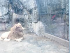 -南昌动物园