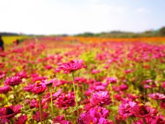 -映月湖中央公园