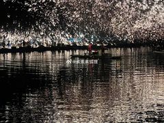 -南京珍珠泉风景区